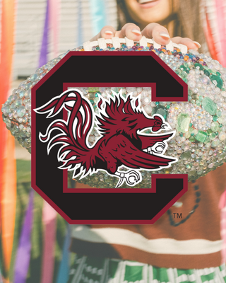 University of South Carolina