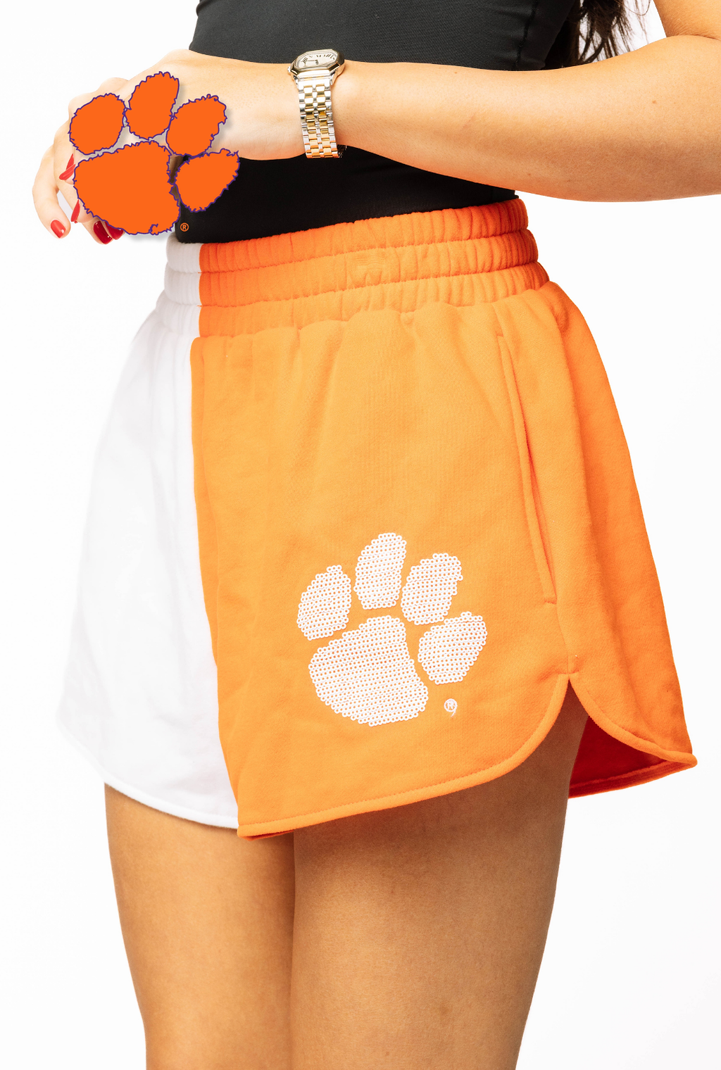 Licensed Sample - Clemson Colorblock Shorts