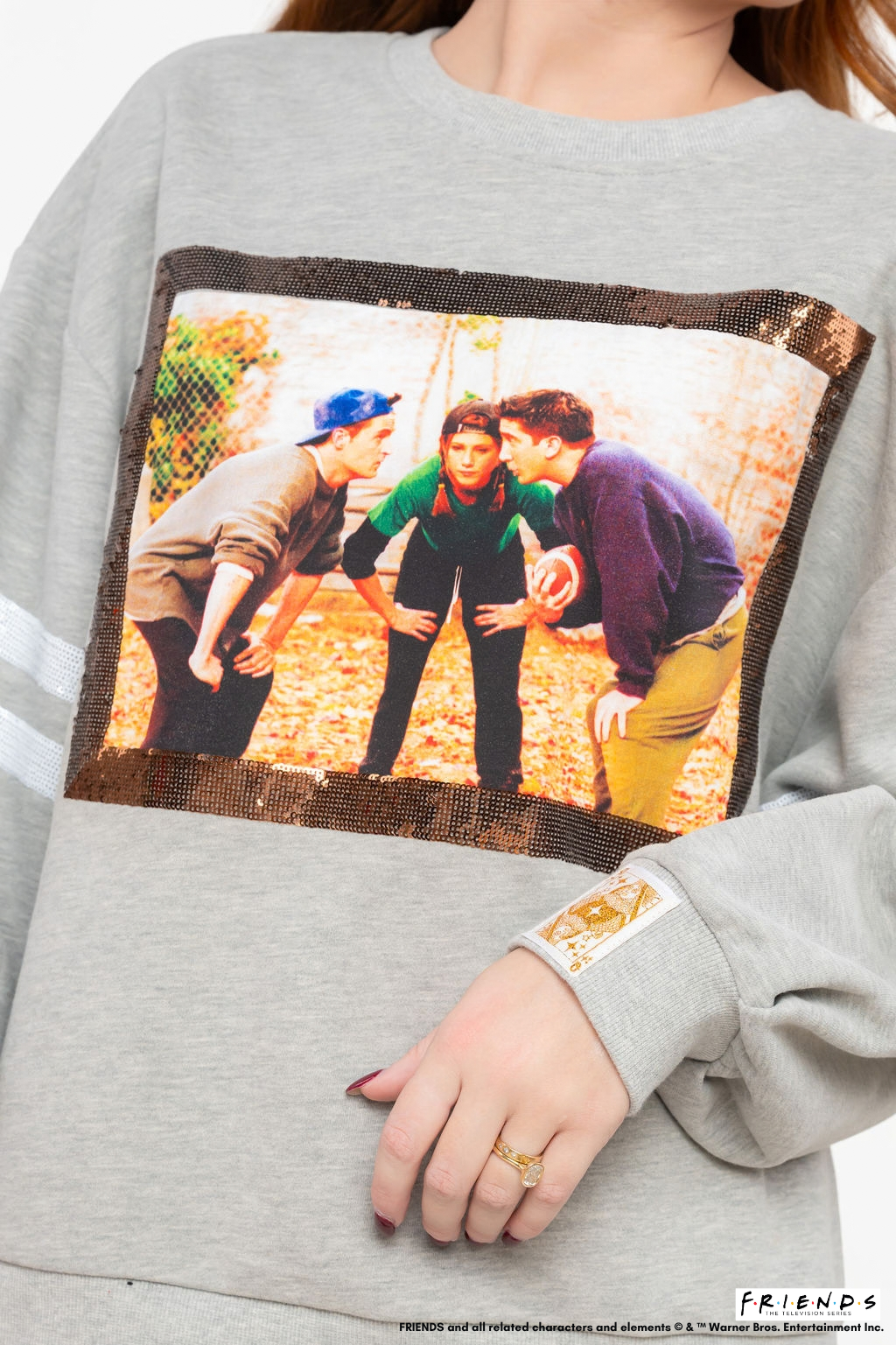 Licensed Grey FRIENDS™ Huddle Screen Print Sweatshirt with Arm Sport Stripe