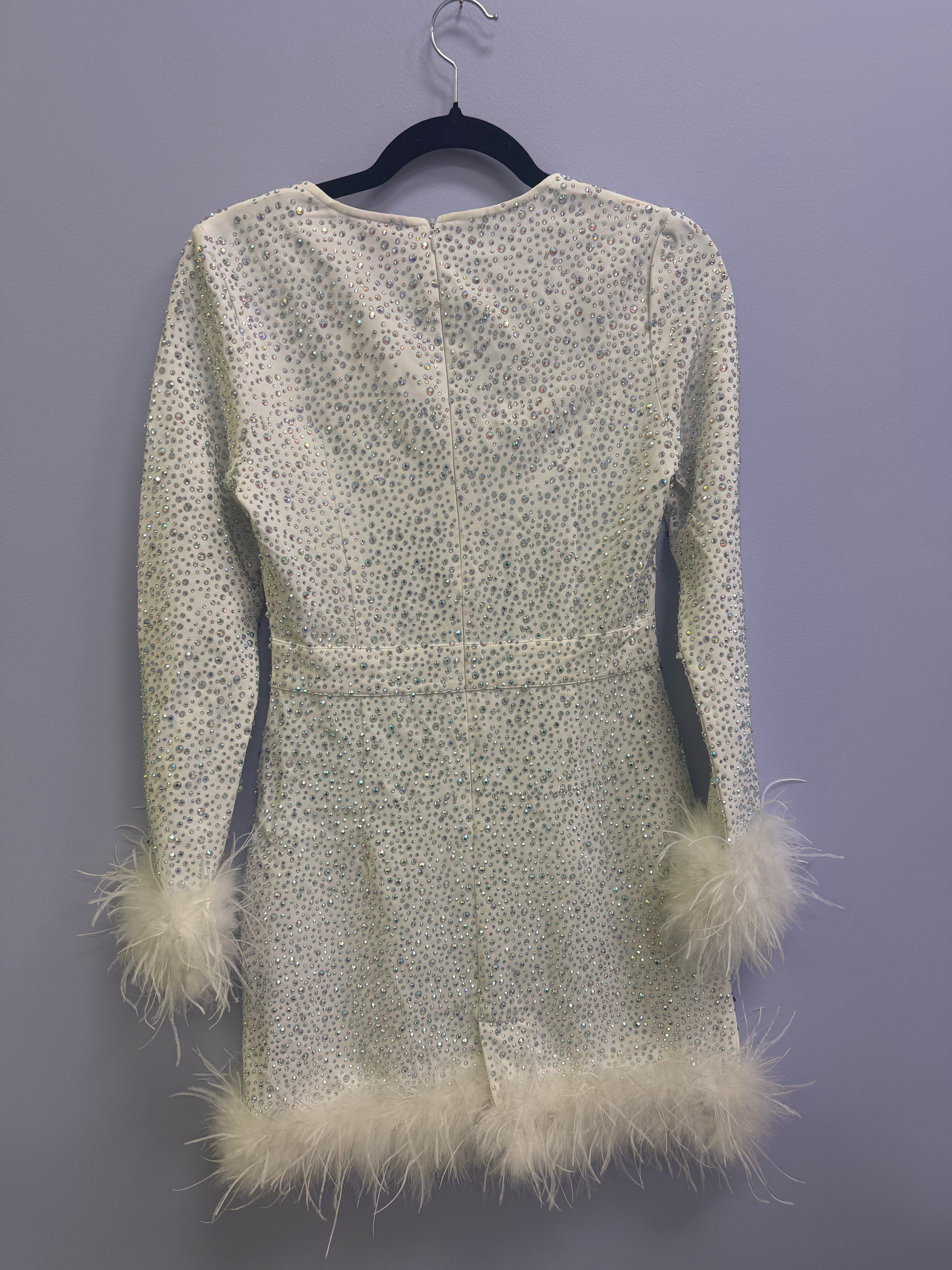 SAMPLE- WHITE FULL RHINESTONE LONG SLEEVE FEATHER DRESS